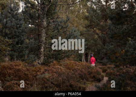 Frau zu Fuß in den Wald auf einer einzelnen Spur Pfad über das Leben denken, Emotionen und die Zukunft Stockfoto