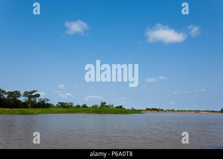 Panorama vom Pantanal, brasilianische Feuchtgebiet Region. Schiffbaren Lagune. Südamerika-Wahrzeichen Stockfoto