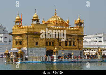 Golden Temple, Amritsar, Indien, Punjab, Harmandir Sahib, Heiligtum der Sikhs, die im 16. Jahrhundert, Tempel mit Blattgold, großen goldenen Kuppel gebaut Stockfoto