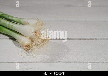 Frische, grüne Zwiebeln auf weißem Holz garten Tabelle, Ansicht von oben, rechte Seite Stockfoto