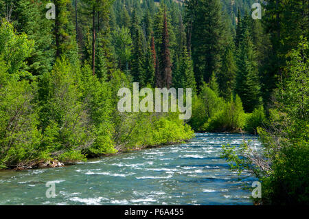 Imnaha Wild and Scenic River entlang Imnaha River Trail, Hells Canyon National Recreation Area, Oregon Stockfoto