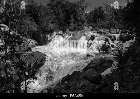 Frühjahr Hochwasser Rennen auf dem Potomac River an Mather Schlucht, Potomac, MD #2 B&W Stockfoto