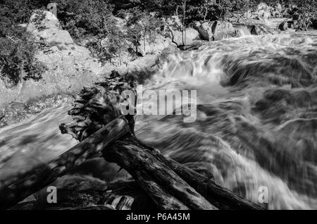 Frühjahr Hochwasser Rennen auf dem Potomac River an Mather Schlucht, Potomac, MD #1 B&W Stockfoto