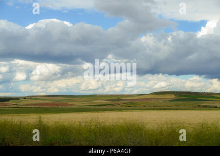 Grünen Hügeln mit dramatischen Wolken im landwirtschaftlichen Zentrum von Spanien, in der Nähe von Salamanca Stockfoto