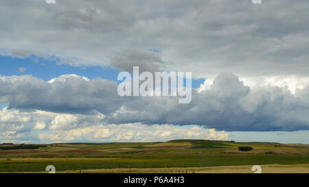 Grünen Hügeln mit dramatischen Wolken im landwirtschaftlichen Zentrum von Spanien, in der Nähe von Salamanca Stockfoto