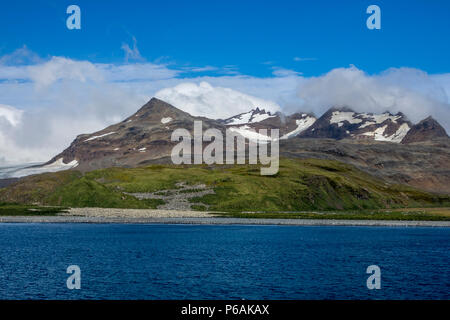 Sonnigen Bedingungen an der Salisbury Plain, South Georgia Island Stockfoto