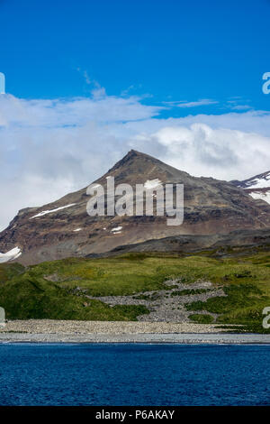 Sonnigen Bedingungen an der Salisbury Plain, South Georgia Island Stockfoto