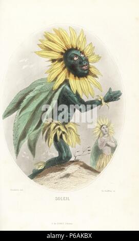 Sonnenblume blume fee, Helianthus annuus, mit Blütenblättern umgeben sein Gesicht und einen Umhang von Blättern, kniend in der Sonne. Papierkörbe Stahlstich von C. Geoffrois nach einer Illustration von Jean Ignace Isidore Grandville von 'Les Fleurs Animees", Paris, Gabriel de Gonet, 1847. Stockfoto