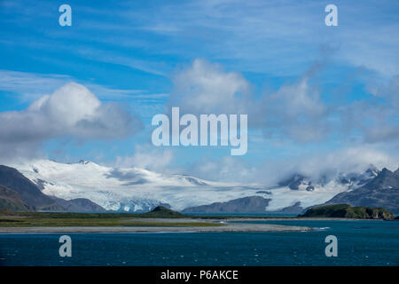 Sonnigen Bedingungen an der Salisbury Plain, South Georgia Island Stockfoto