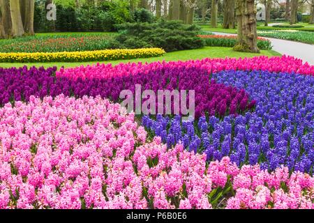 Europa, Niederlande, Lisse, Keukenhof Gärten Stockfoto