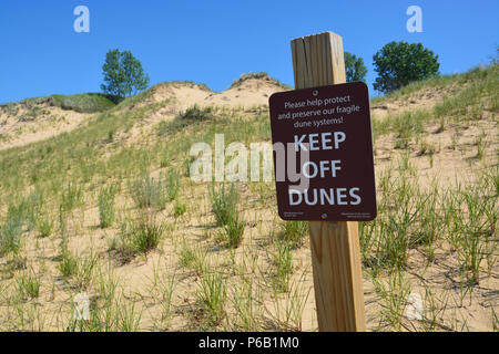 Die Mount Baldy Düne an der Indiana Dunes National Park ist für Besucher aufgrund von dolinen geschlossen und die Düne Gräser zu schonen. Stockfoto