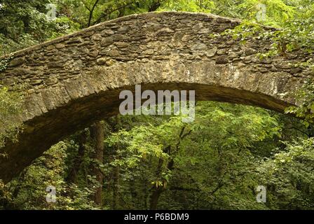 Pont de la Riera sobre el rio Ges (S. XV). Sant Pere de Torelló. Garrotxa. Catalunya. España. Stockfoto