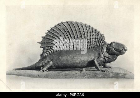 Edaphosaurus (Naosaurus) von Perm Schichten von Texas. Modell restauriert von C.R.Ritter. Foto von H. N. Hutchinson's 'ausgestorbenen Monster und Kreaturen von anderen Tagen", Chapman und Hall, London, 1894. Stockfoto