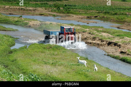 Traktor fahren durch ein bewässerungskanal, Ziehen einer Last, die eine Welle und Spritzwasser vorne, in Nordkorea DIE DEMOKRATISCHE VOLKSREPUBLIK KOREA Stockfoto