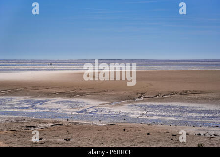 Wanderer auf der Morecambe Bay Sands. Lancashire North West England. Stockfoto