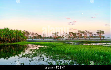 Sonnenaufgang über dem Yellow Water Billabong in den Kakadu National Park, Australien. Dämmerung auf einem Fluss im nördlichen Australien mit Vollmond am Himmel Stockfoto