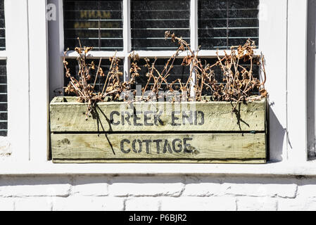 Creek Cottage, Alte Leigh, Leigh-on-Sea, Essex, Großbritannien. Malerische kleine Home. Strahlendes Weiß mit Vintage strukturierte Holz Fenster. Abgestorbene Pflanzen Stockfoto