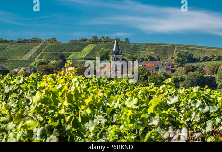 Frankreich, Grand Est, Marne, Ville Dommange in der Mitte der Weinberge, Coteaux de Champagne Stockfoto