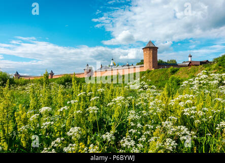 Blick auf Spaso-Evfimiev Kloster in Wladimir, Russland Stockfoto