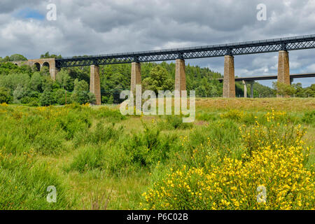 FINDHORN EISENBAHNVIADUKT TOMATIN SCHOTTLAND neu restauriert und Gelber Ginster BLUMEN Stockfoto