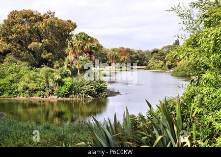 Melbourne in Victoria, Australien. Royal Botanic Gardens. Stockfoto