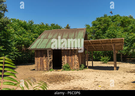 Ein Holzhaus im Dschungel Szene Stockfoto