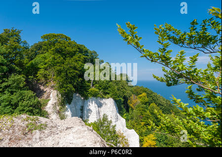 Blick von der Aussichtsplattform Königsstuhl zu den Kreidefelsen im Nationalpark Jasmund, Sassnitz, Rügen, Mecklenburg-Vorpommern, Deutschland, Europa Stockfoto