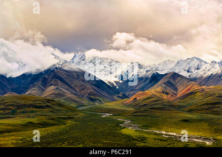 Blick über ein grünes Tal mit bunten Snowy Mountains und ein bewölkter Himmel im Hintergrund im Denali National Park, Alaska Stockfoto