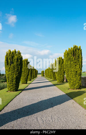 Bedford House Friedhof, Belgien Stockfoto