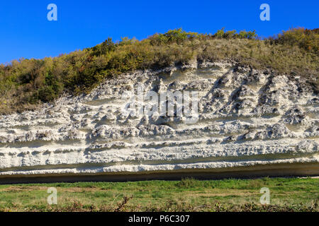 Frankreich, Charente Maritime, Saintonge, Mündung der Gironde, Mortagne sur Gironde, die Falaises Mortes, Tod Klippen // Frankreich, Charente-Maritime (17), Sain Stockfoto