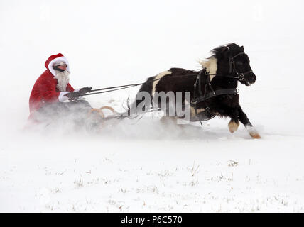 Oberoderwitz, Santa Claus macht eine Schlittenfahrt mit seinem Shetland pony Stockfoto