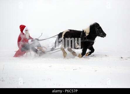 Oberoderwitz, Santa Claus macht eine Schlittenfahrt mit seinem Shetland pony Stockfoto