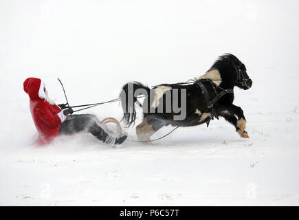 Oberoderwitz, Santa Claus macht eine Schlittenfahrt mit seinem Shetland pony Stockfoto