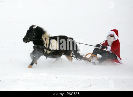 Oberoderwitz, Santa Claus macht eine Schlittenfahrt mit seinem Shetland pony Stockfoto