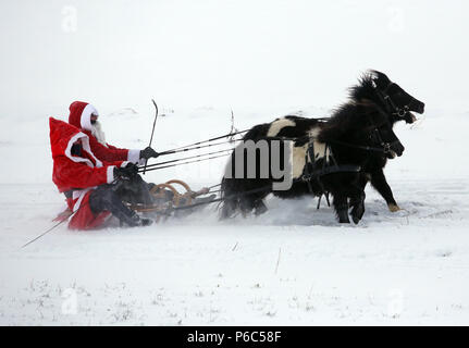 Oberoderwitz, Frauen, die so tut, als wäre Weihnachten Männer eine Schlittenfahrt mit ihren Shetland Ponys machen Stockfoto