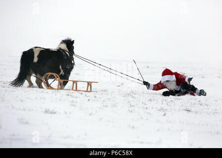 Oberoderwitz, verkleidet als Weihnachtsmann, fiel ihr Pony Schlitten Stockfoto