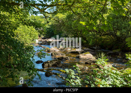 Hexworthy Dartmoor Devon England Juni 24, 2018 Der Westen Dart River bei Hexworthy Stockfoto