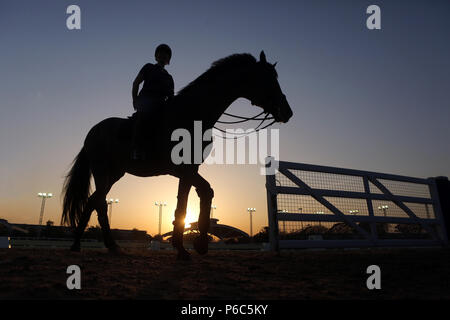 Doha, Silhouette, Pferd und Reiter lassen Sie das Reiten Track nach dem Training Stockfoto