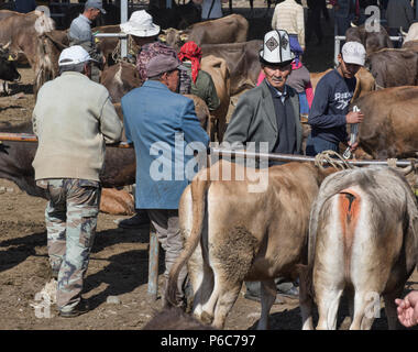 Szenen aus dem Sonntag Tiermarkt, Karakol, Kirgisistan Stockfoto