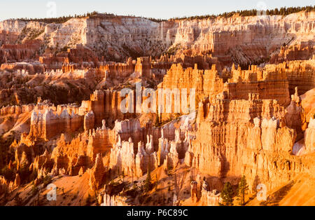 Bryce Canyon National Park, beim Sonnenaufgang, Utah, USA. Stockfoto