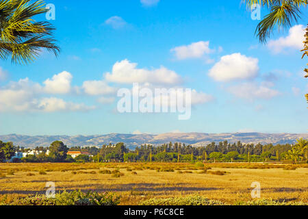 Landschaft der Stadt Paphos mit Häuser, Bäume und Berge im Hintergrund gegen den blauen Himmel, Zypern. Fotos warmen Farben der untergehenden Sonne Stockfoto