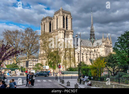 Nachmittagssicht auf die Kathedrale Notre Dame in Paris im Frühling mit Kirschblüten auf den Bäumen. Stockfoto