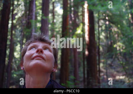 Frau (52) hört Mammutbäume in einer sanften Brise in den Muir Woods, Kalifornien, USA Stockfoto