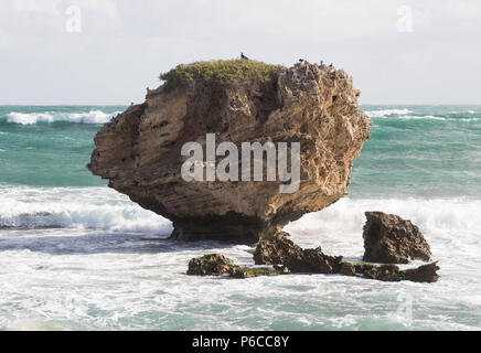 Mandurah, Perth. Die Küste Gebiet und seine Bewohner Stockfoto