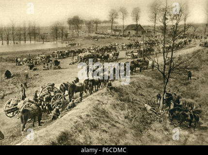 Weltkrieg, Field Artillery, WK 1, Weltkrieg, Weltkrieg Stockfoto