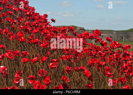 Die 'Welle' Keramik Mohnblumen am Fort Nelson, Portsmouth, Hampshire, UK. Teil der "Blut fegte Länder und Meere von Red'art Installation Stockfoto