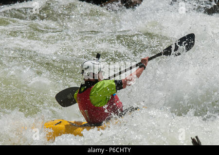 Kajakfahren auf der North Fork Payette River in den North Fork Kayak-Meisterschaft 2018 Stockfoto