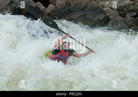 Kajakfahren auf der North Fork Payette River in den North Fork Kayak-Meisterschaft 2018 Stockfoto