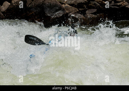 Kajakfahren auf der North Fork Payette River in den North Fork Kayak-Meisterschaft 2018 Stockfoto