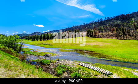 Üppige Wiesen und Ackerland entlang der Autobahn 5 eine schöne Strecke zwischen den Ortschaften Merritt und Princeton im wunderschönen British Columbia, Kanada Stockfoto